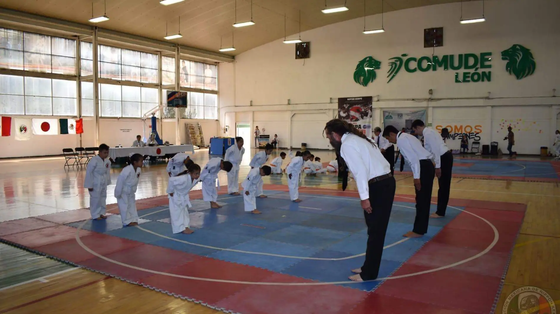 Cortesia Instituto Mexicano de Kempo (7)